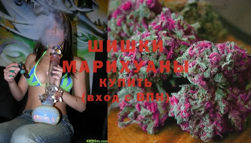 наркотики  Высоцк  Канабис White Widow 